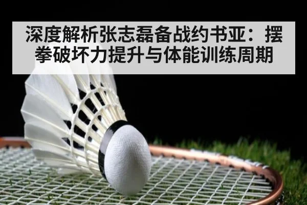 深度解析张志磊备战约书亚：摆拳破坏力提升与体能训练周期